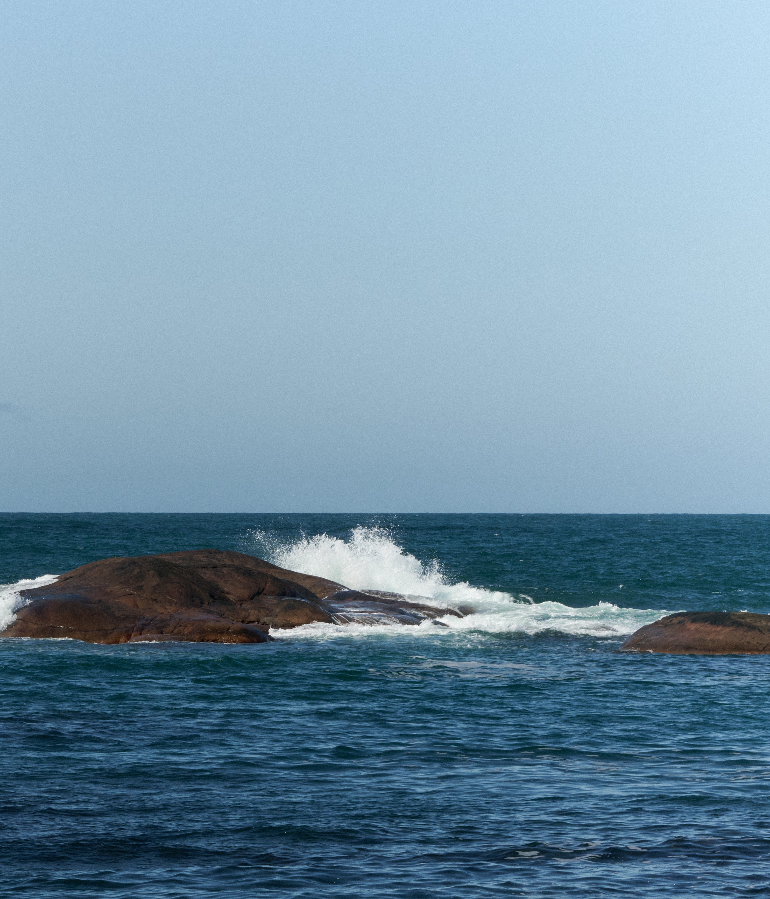 our concious journey