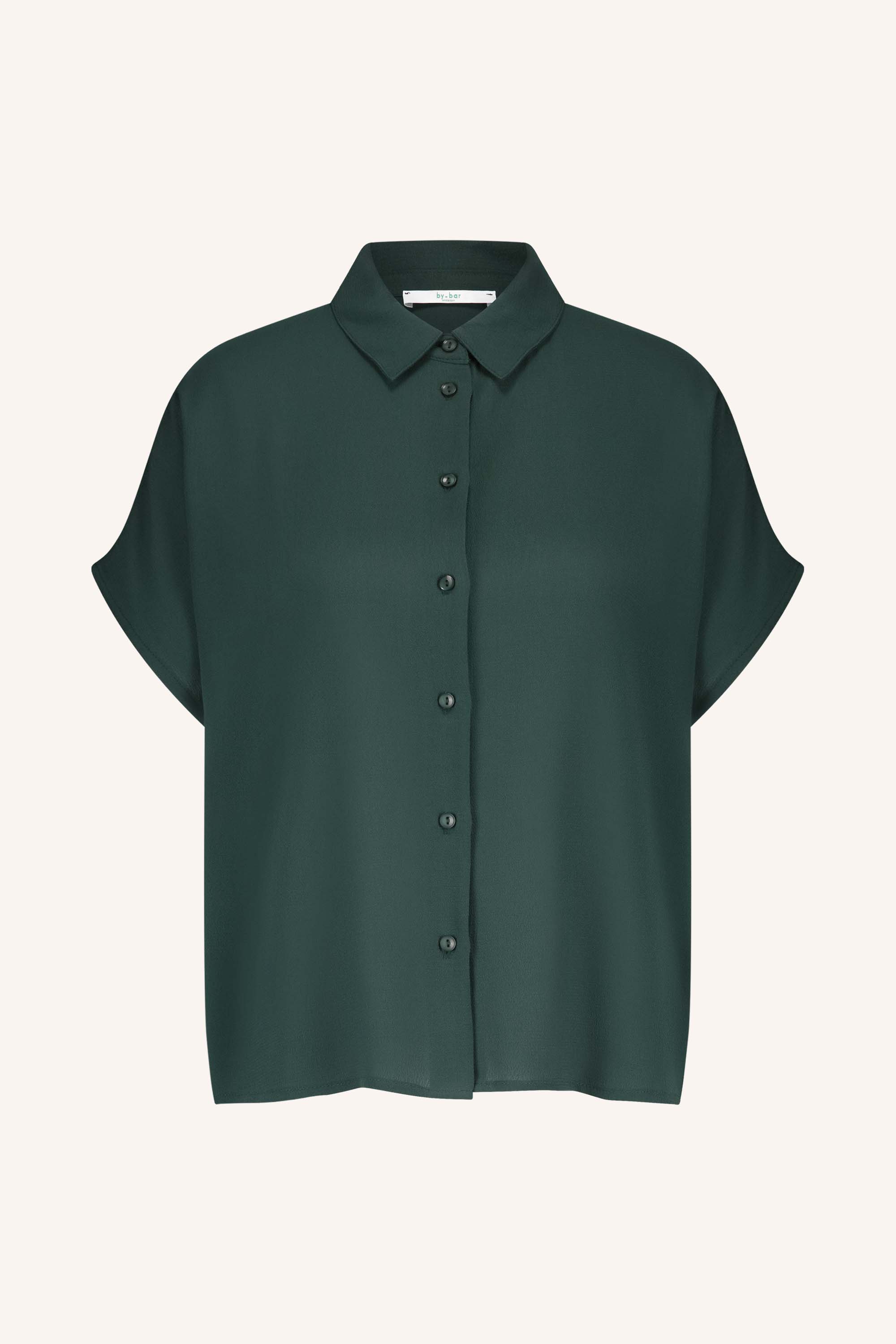 karly viscose blouse | dried basil