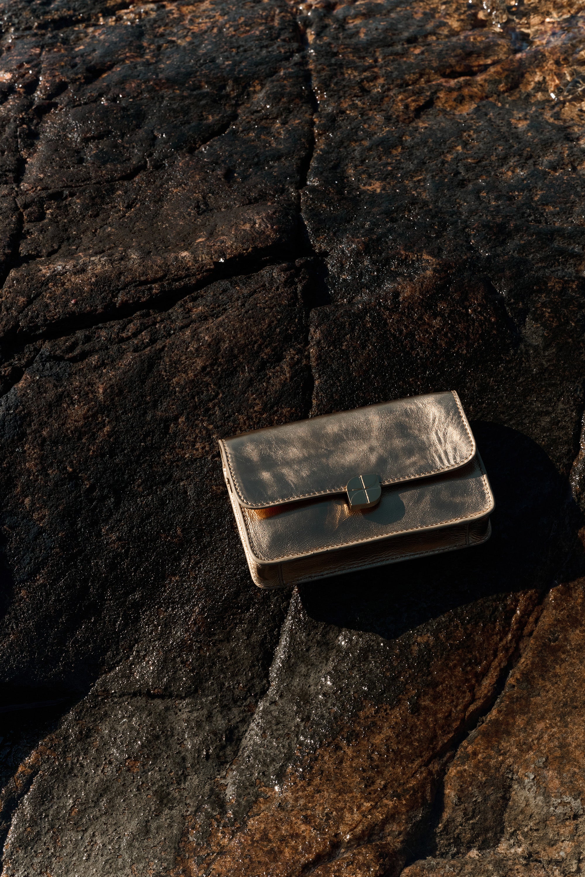 loua gloss bag | metallic gold