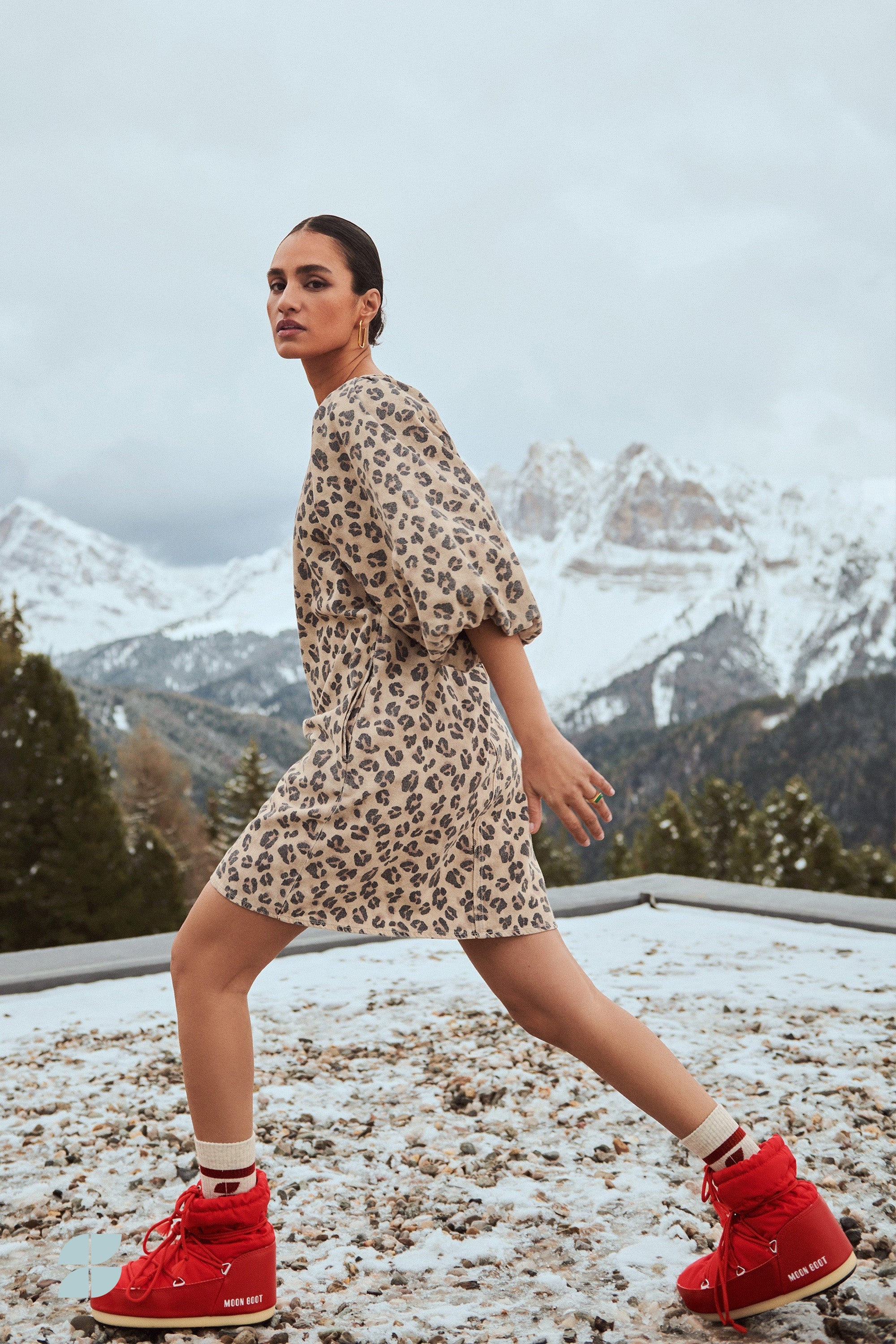 zasu cheetah dress | cheetah print