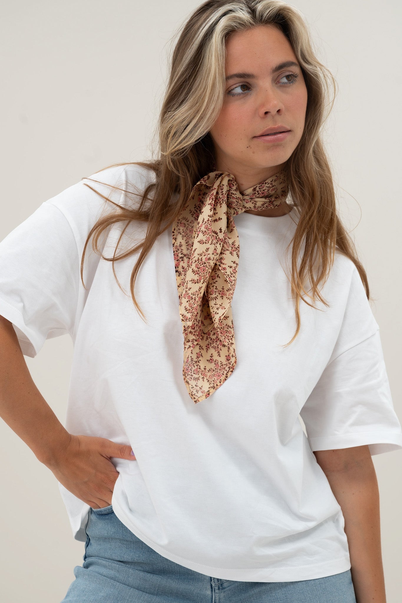 sari silk scarf | bathinda-a