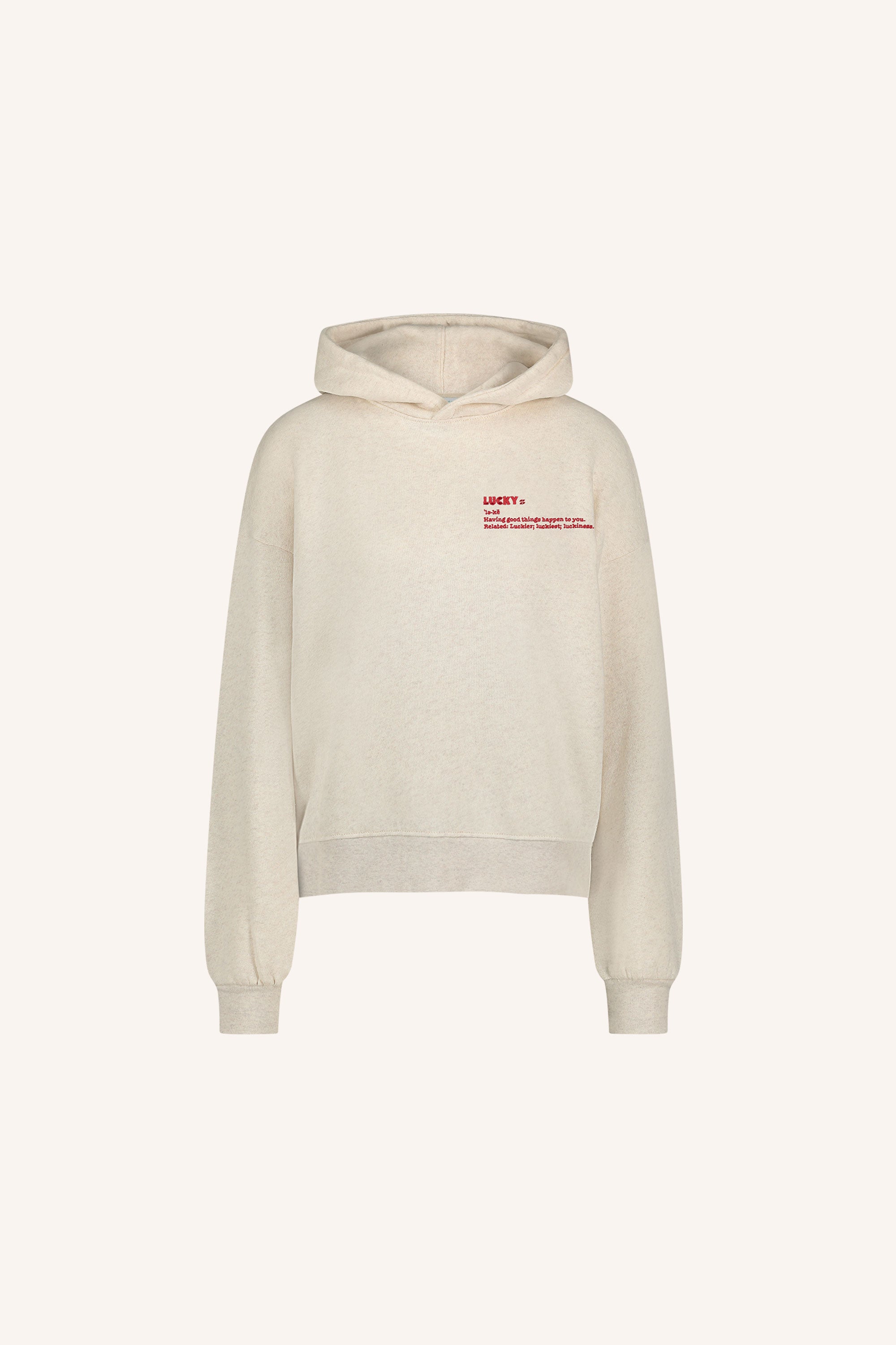 dictionary hoodie | oyster melee